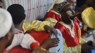 مزود بسكرة العالية 