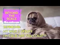 Week 5 on Zepbound Energy Boost Nausea and Unexpected Side Effects My Zepbound Journey Update