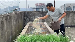 Compacted soil is the number one factor contributing to poor vegetable growth
