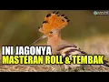 Download Lagu MASTERAN ROLL TEMBAK | ini jagonya