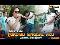 Download Lagu Dini Kurnia - Coromu Ninggal Aku ( live Golden Music Pemuda Batas Bersatu) Plembang Wonosobo