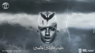 طيب عايزنى قاسى   عصام صاصا        توزيع كيمو الديب   من البوم بروتكت ميديا   محمد العشرى   حالتي