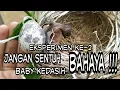 Lagu coba letakkan benda disamping baby kedasih. bahaya gaess