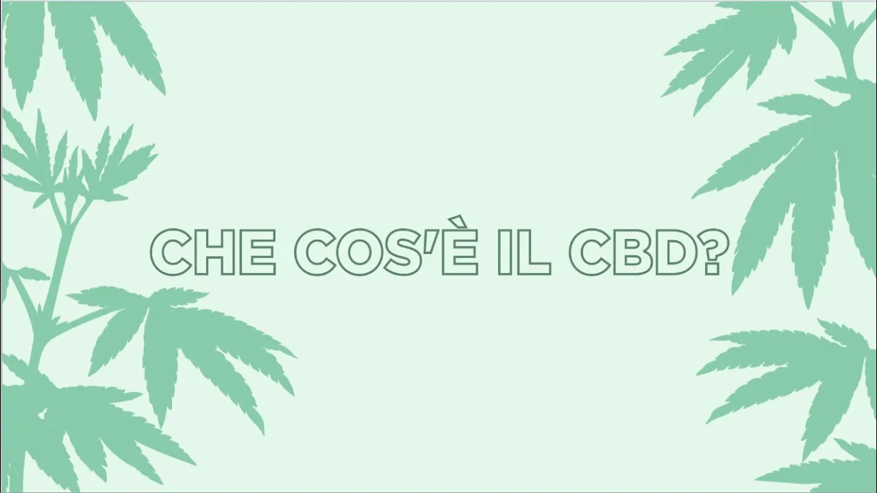 Che-cos’è-il-cbd