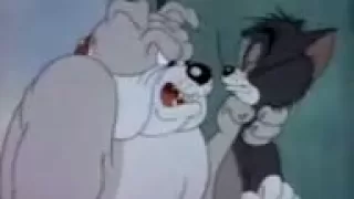 توم وجيري اليمني  توم وجيري اليمني
