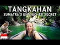 Download Lagu I FELL IN LOVE with my JUNGLE GUIDE in Tangkahan! (Sumatra, Indonesia)