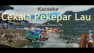 Download CEKALA PEKEPAR LAU Tone Pria Karaoke Pop MP3