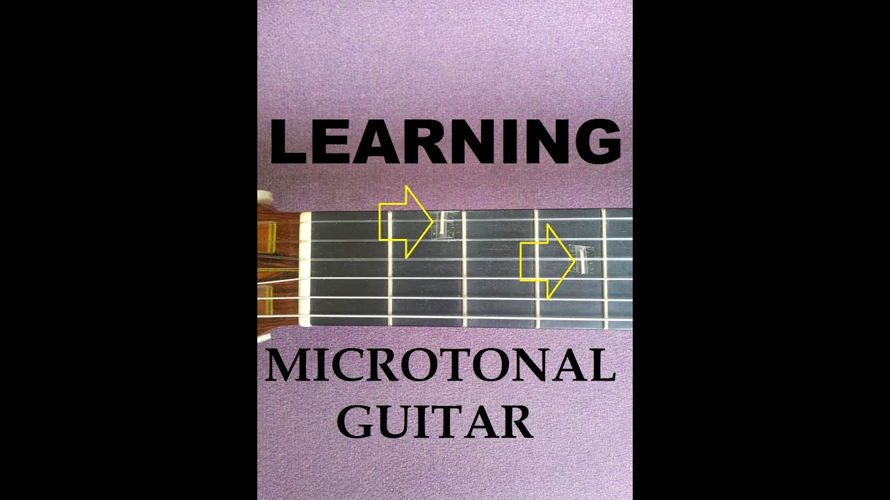 Learning Microtonal Guitar (1) - Added Frets / Fretlets on Guitar