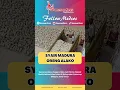 Download Lagu Syair Madura Benni Tak Alako #shorts