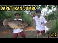 Download Lagu ADNAN MANCING BARENG OKEM DAPET IKAN JUMBO DI KALI