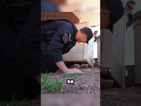 Camuflaje vs Policía Por $100k!😱