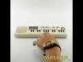 Download Lagu Organ Vintage CASIO VL-Tone Electronic Musical Instrument VL-1 Japan