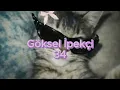 Göksel İpekçi - 34