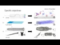 Detached potential flow and vortex methods Pimentel 2024 and subtitled