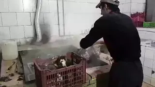 کله پاچه پاک کنی 