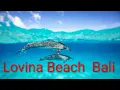 Download Lagu 🇮🇩 Bali Lovina Beach  Adventures, 🐬 Dolphins , Bars , Rice Terraces, Waterfalls