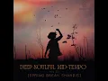 Download Lagu Deep Soulful Mid Tempo Vol 23 Mixed By Dj Luk-C S.A (Spring Break Shandis)