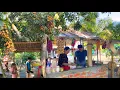 Download Lagu Ngày Đầu Tiên Cháu Nhi Đảm Nhận Công Việc Khi Hoàng Nam Vắng Nhà | Tập 1049