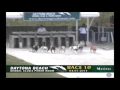 Greyhound Wins at Daytona
