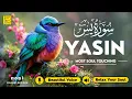 Download Lagu Surah Yasin (Yaseen) سورة يس ✦ Beautiful voice heart touching ✦ Calming Quran For Sleep ✦ Alaa Aqel