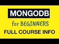 MongoDB Tutorial for Absolute Beginners My full-length MongoDB courses