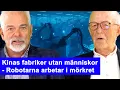 Download Lagu Vi måste prioritera produktionen. Utan energi och varor är vi maktlösa i Omvärldsanalys 231