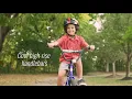 20 inch Boy s Bike Huffy Rock It