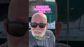 Sailing Japan’s Cherry Blossoms! But First, Boat Projects 🌸 #sailing #japan #travel