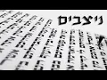 Download Lagu How to make your prayers work - Parashat Nitzavim - Rabbi Alon Anava