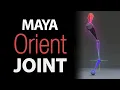 Maya Joint Orientation in a Minute