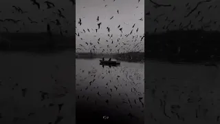 كل ضحكه رايحه مش ناويه الرجوع 