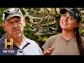 New Generation of DEADLY Pythons Swamp People Serpent Invasion Season 5 History
