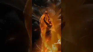 А квіти як люди Наталія Гордієнко 