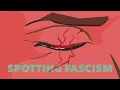 The Handmaid s Tale Spotting Fascism Badmouse Re-upload
