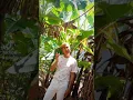 Download Lagu TITOK memori daun pisang(lipsing parodi)shorts