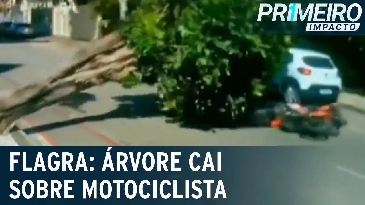 Árvore cai em cima de motociclista em Fortaleza (CE) | Primeiro Impacto (28/07/23)