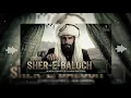 DIDI (SHER-E-BALOCH - FEMALE COVER | Dhurandhar The Revenge | ZM SISTERS