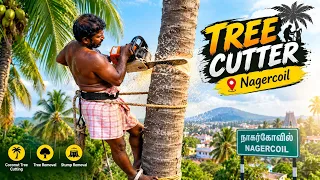 8610339350 tree cutting in coconut tree 