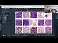 SageMaker Fridays Season 4 Episode 7 - Automating an end to end workflow for image classification