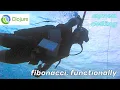 ambient coding Fibonacci numbers calculation in Clojure
