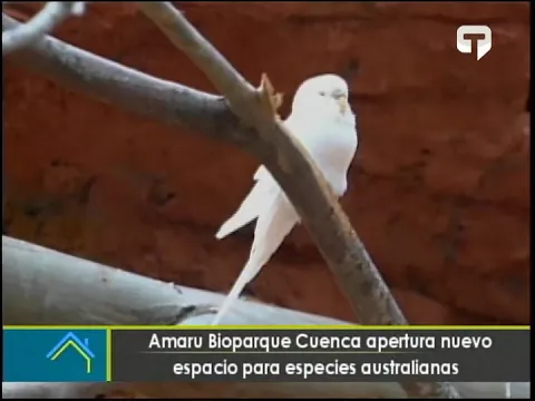 Amaru Bioparque Cuenca apertura nuevo espacio para especies australianas
