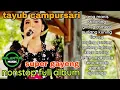 Download Lagu TAYUB TOP ENAK BANGET DI PUTAR