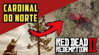 RED DEAD REDEMPTION 2 - CARDINAL DO NORTE PEDIDOS DE CACA LOCALIZACAO RDR2 100 PT-BR