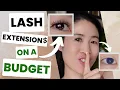 COMPLETE Lashify unsponsored review tutorial I save SO much money