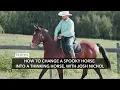 How to Change a Spooky Horse into a Thinking Horse, with Josh Nichol