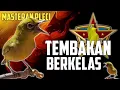 Download Lagu Masteran pleci tembakan berkelas lomba pcmi
