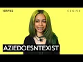 AZIEDOESNTEXIST Everglades Meaning Genius Verified