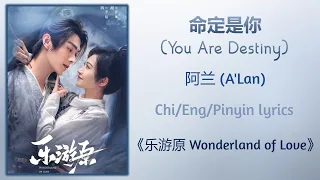  you are destiny alan wonderland of love chi eng pinyin lyrics