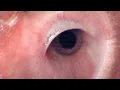 Sub Urban - Mascara (Instrumental)(Remake)