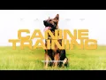 Police Dog Training Course BTS